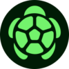 Turtle & Avax