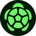 Turtle & Avax